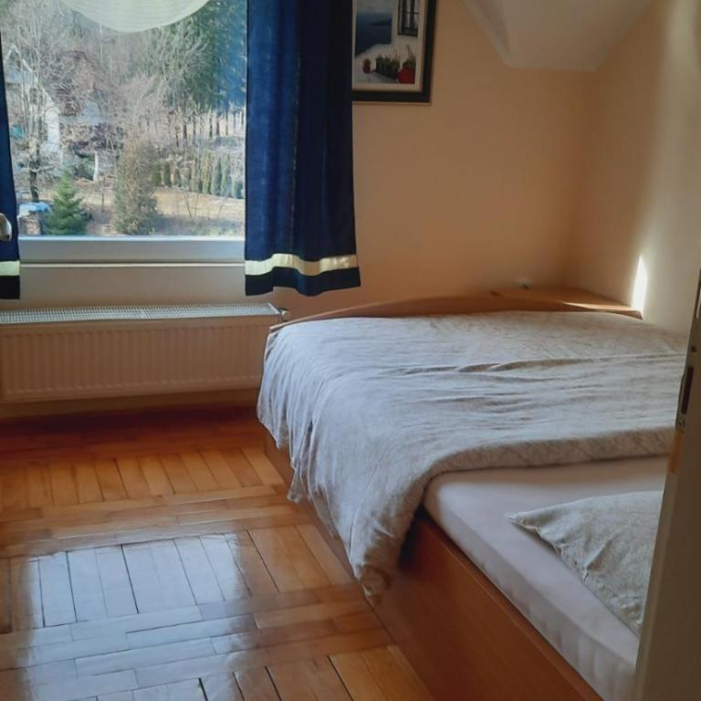 Dusa Zlatibora - Two-Bedroom Apartment - 9