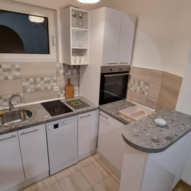 Apartments near Belgrade Waterfront - Apartman sa 2 Spavaće Sobe - 3