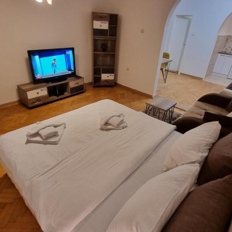 Apartments near Belgrade Waterfront - Apartman sa 2 Spavaće Sobe - 1