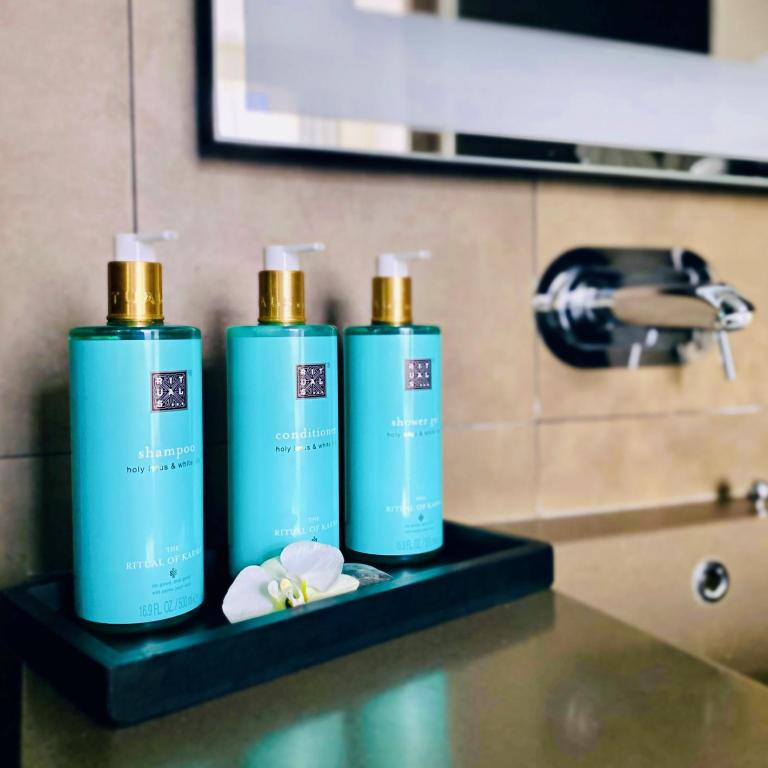 Novotel SPA Rennes Centre Gare - Chambre Double Exécutive - 11