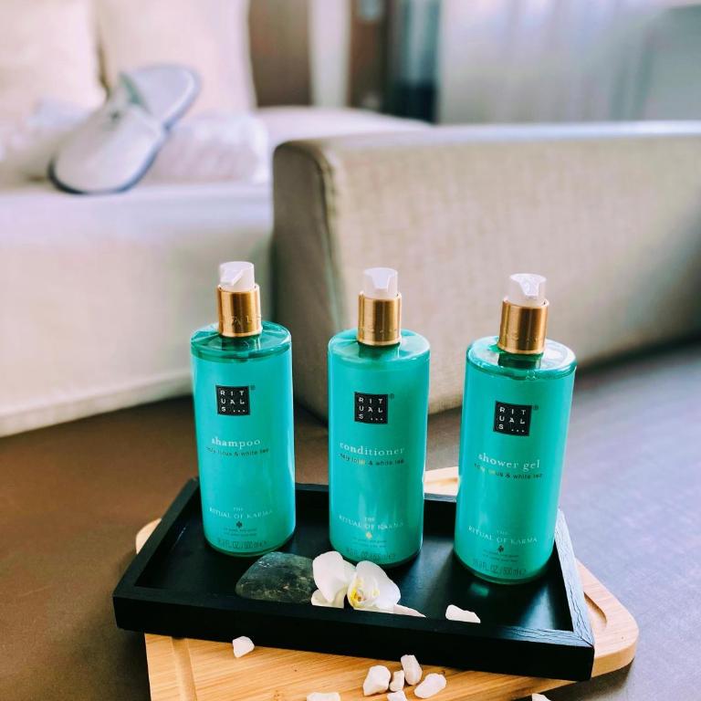 Novotel SPA Rennes Centre Gare - Chambre Double Exécutive - 12