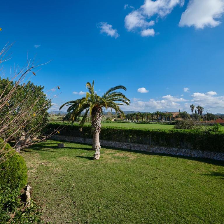 Finca Son Oliver by Mallorca House Rent - Casa de 6 dormitorios - 50