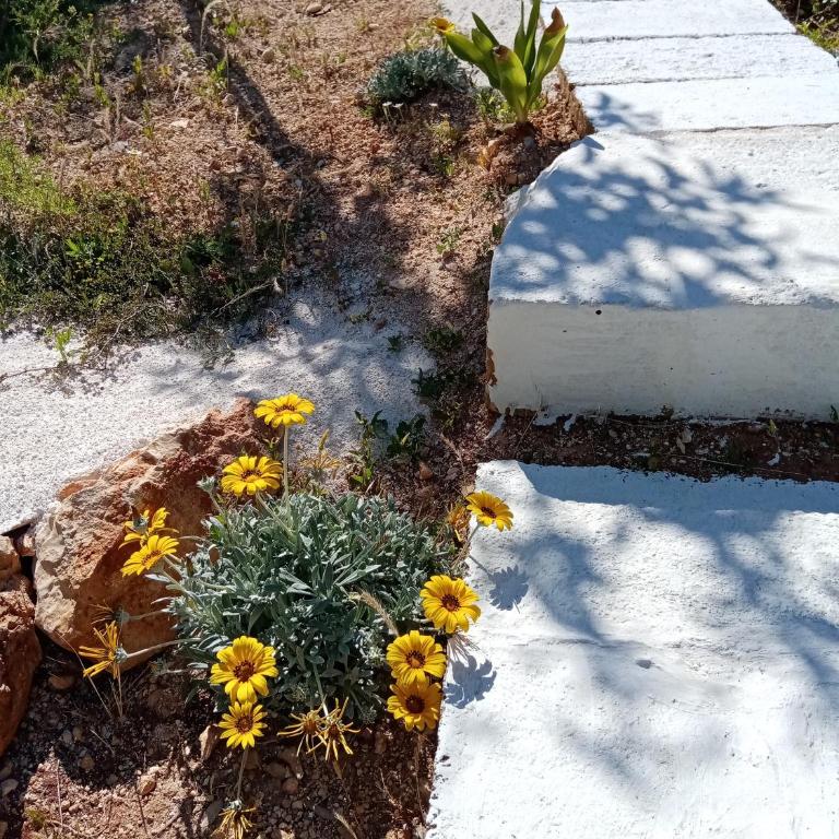 Trulli La collinetta - One-Bedroom House - 46