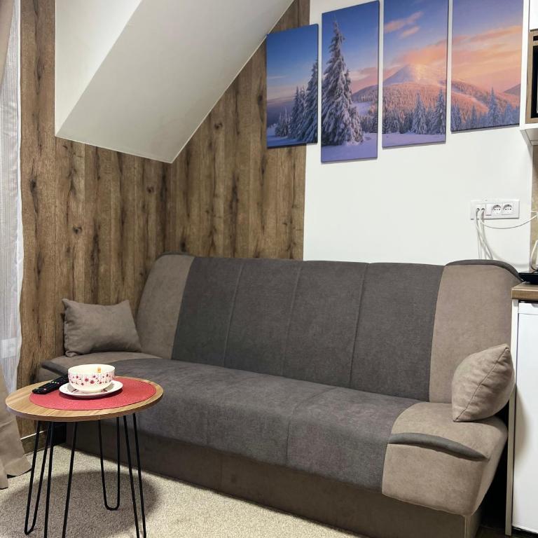 Gencian Resort KOPAONIK - Studio - 9