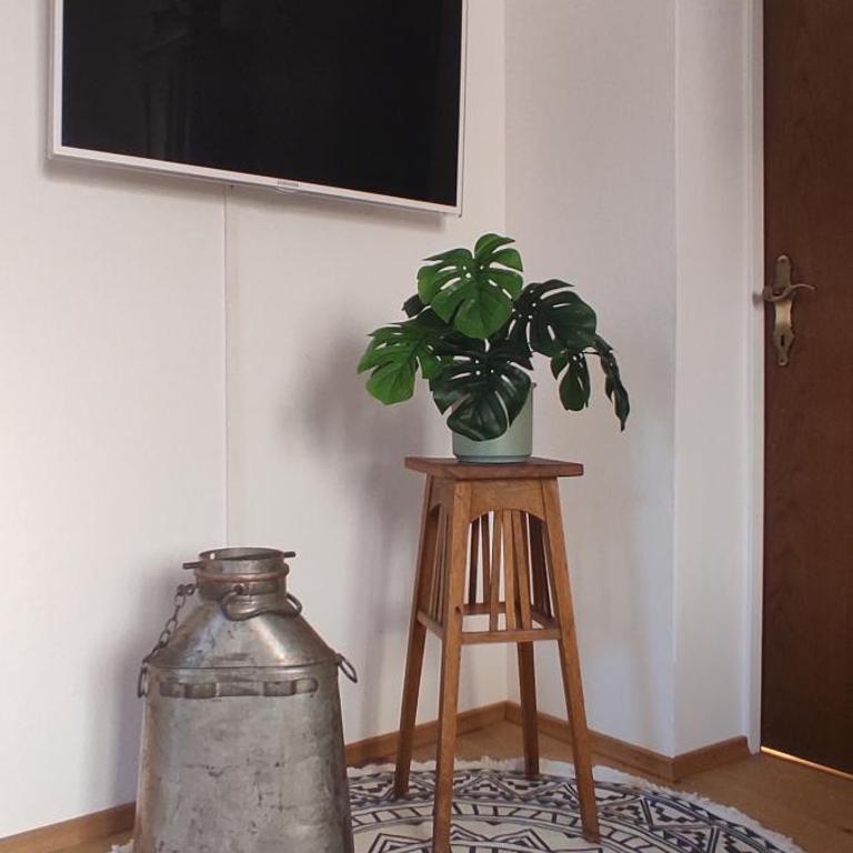 Ferienwohnung Hager Kuchl - Apartment mit 1 Schlafzimmer - 12