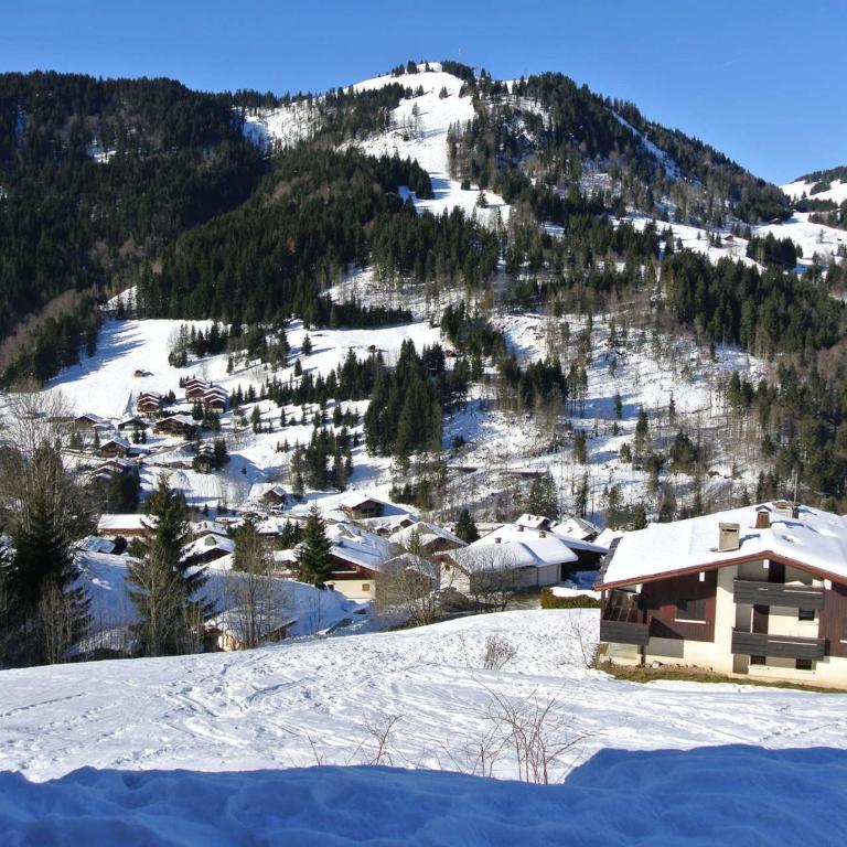 Appartement 3 pièces avec terrasse, parking, cheminée et vue montagne à La Clusaz - FR-1-459-54 - Apartment (6 Adults) - 9