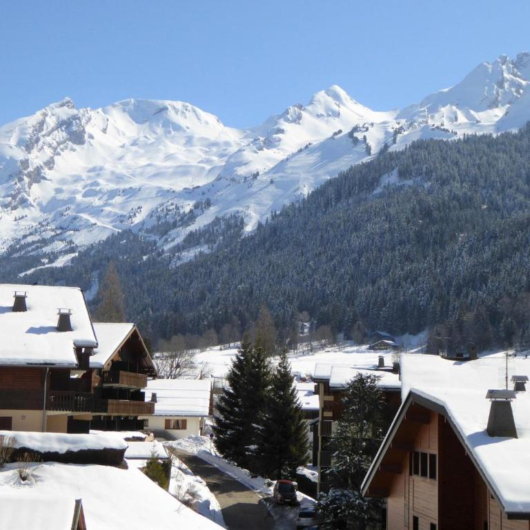 Appartement Rénové 3 Pièces au Centre de La Clusaz avec Balcon et Garage - FR-1-459-40 - Appartement (6 Adultes) - 8