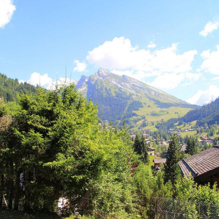 Appartement de 3 pièces avec balcon, cheminée et Wifi à La Clusaz - FR-1-459-99 - Apartamento (6 adultos) - 11