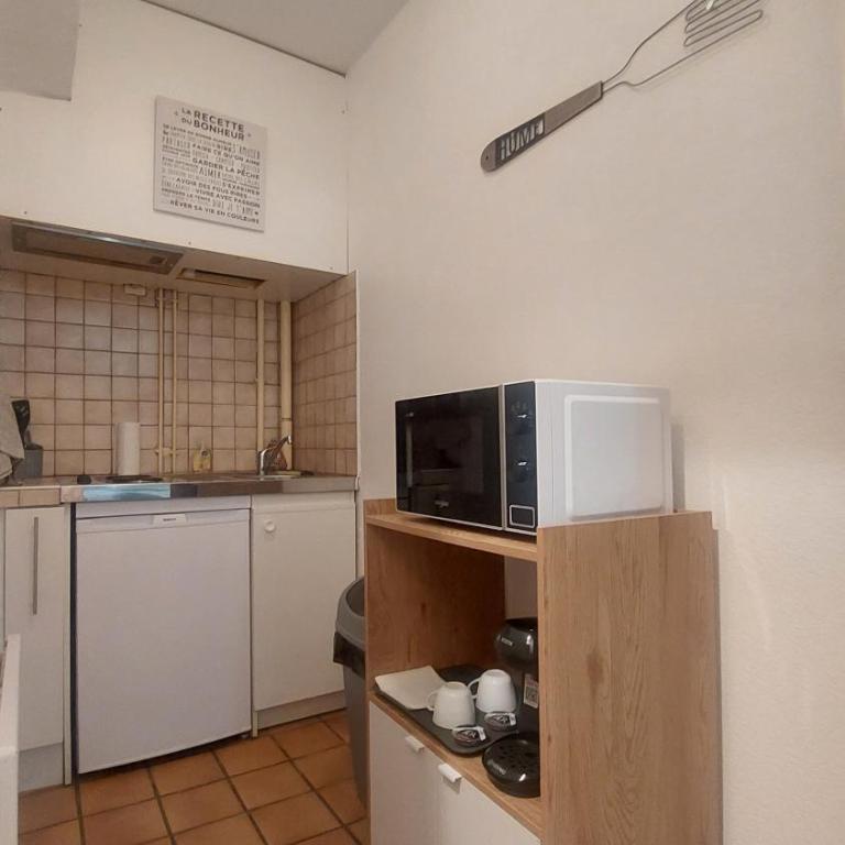 STUDIO MEUBLÉ AU PIED DU CHATEAU - Apartamento de 1 dormitorio - 3
