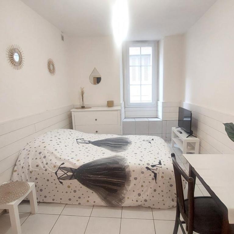 STUDIO MEUBLÉ AU PIED DU CHATEAU - Apartamento de 1 dormitorio - 5