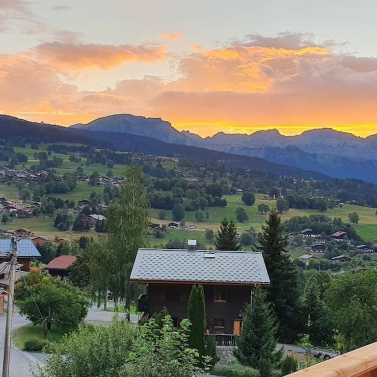 Magnifique Chalet neuf 8 pers, 800 m télécabine Princesse Megeve - Chalet - 4