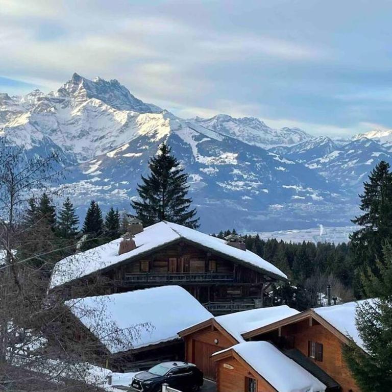 Apartment with stunning view! Ski-in, ski-out - Apartment mit 2 Schlafzimmern - 10