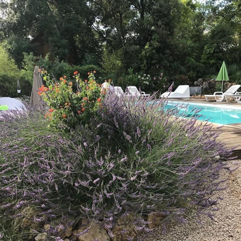 Villa OHA close Cannes,Nice, Valbonne , Opio - Villa mit privatem Pool - 6