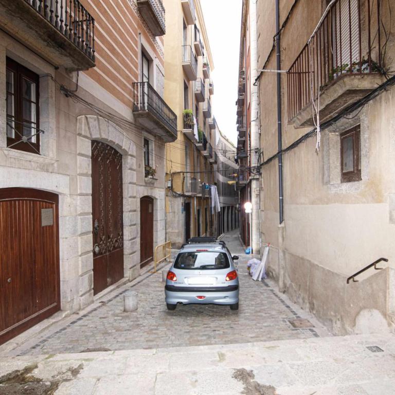 Apartamento Tr Auriga en el Barri Vell, Girona - Apartamento - 30