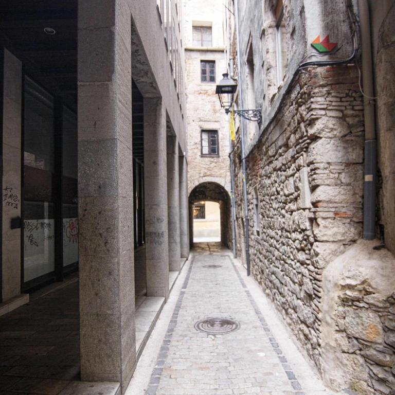 Apartamento Tr Auriga en el Barri Vell, Girona - Apartamento - 28