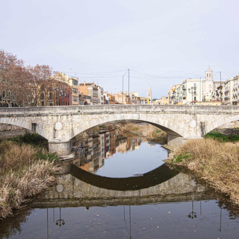 Apartamento Tr Auriga en el Barri Vell, Girona - Apartamento - 32