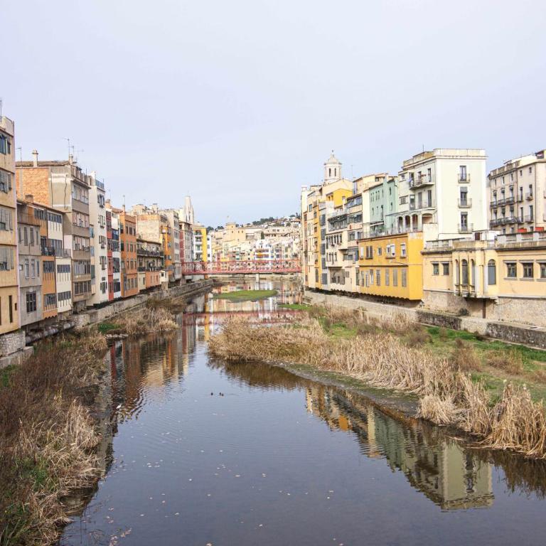 Apartamento Tr Auriga en el Barri Vell, Girona - Apartamento - 33
