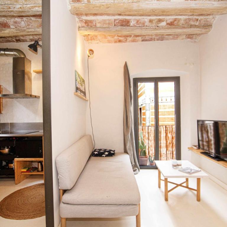 Apartamento Tr Auriga en el Barri Vell, Girona - Apartamento - 8