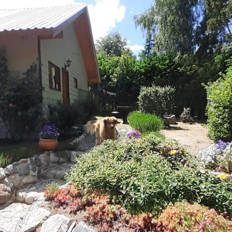 Tierras del Sur I un calido lugar - Apartamento de 1 dormitorio - 23