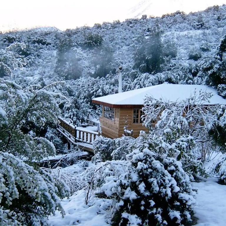 Refugios de la Montaña - Two-Bedroom Bungalow - 8