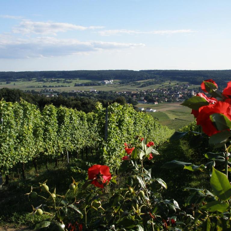Golf & Wellness Apartment 34. - Appartement 2 Chambres - 14