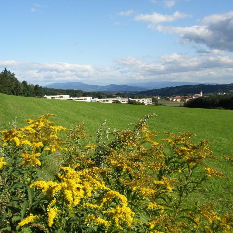 Golf & Wellness Apartment 34. - Appartement 2 Chambres - 15