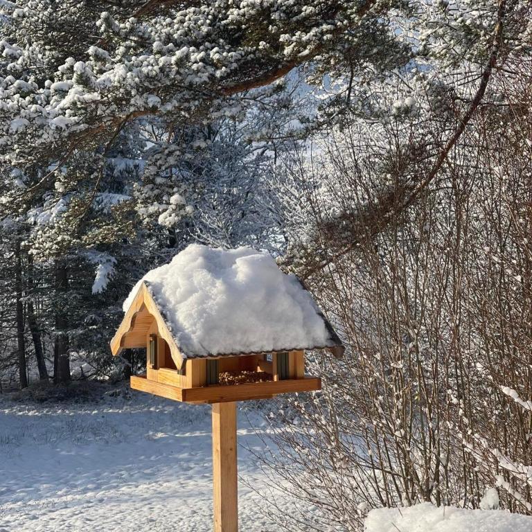 Häusle in der Tannenmühle - Haus mit 3 Schlafzimmern - 40