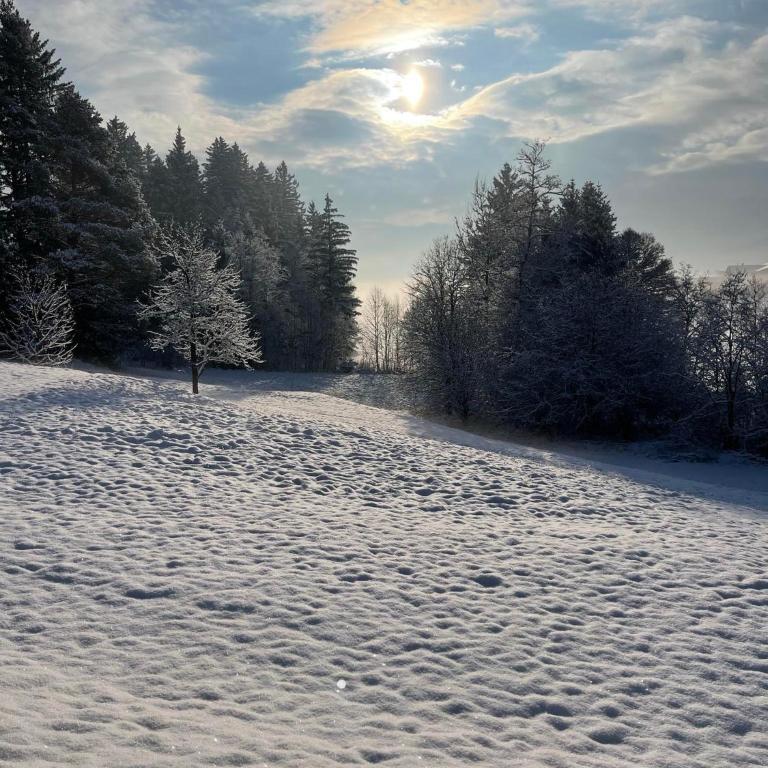 Häusle in der Tannenmühle - Haus mit 3 Schlafzimmern - 36