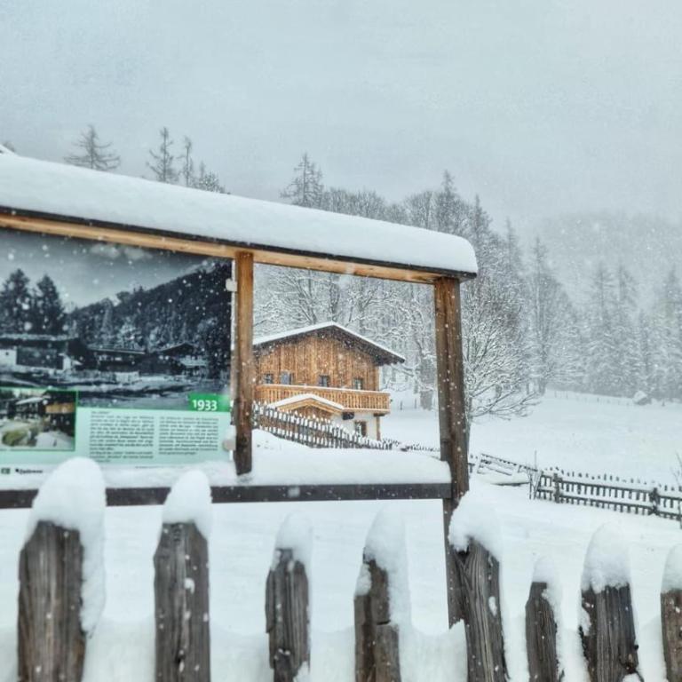Holzerjuwel - Minzlhof Ramsau am Dachstein - Maison 2 Chambres - 17