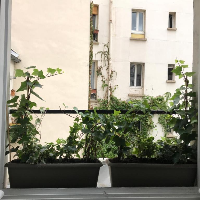 Cosy Studio !!! - Chambre Double avec Salle de Bains Privative - 17