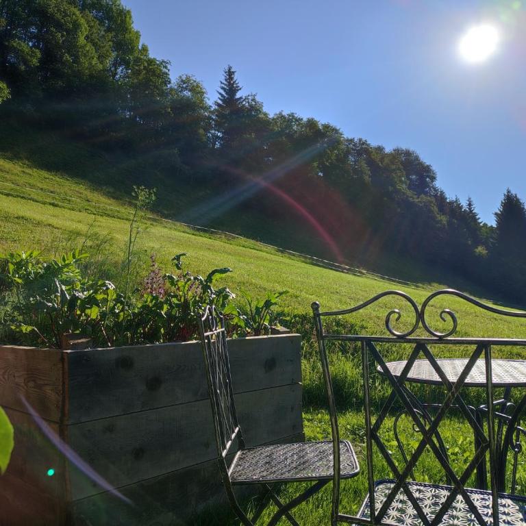 Ferienhaus Mittersill am Biohof Widholz - Ferienhaus - 16