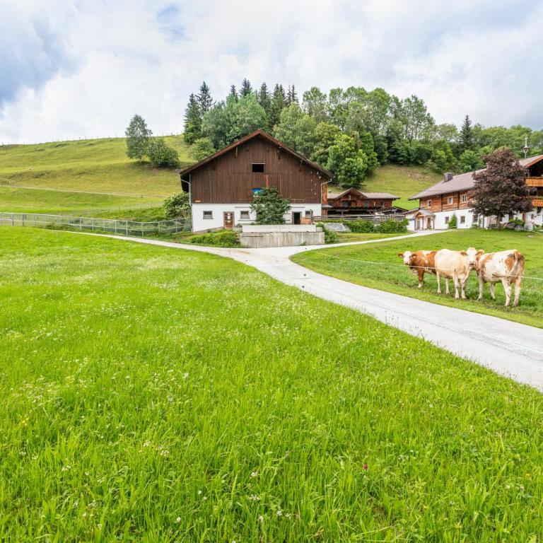 Ferienhaus Mittersill am Biohof Widholz - Ferienhaus - 26