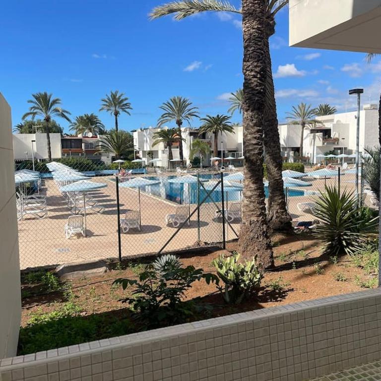 Pool view apartment Primavera - One-Bedroom Apartment - 18