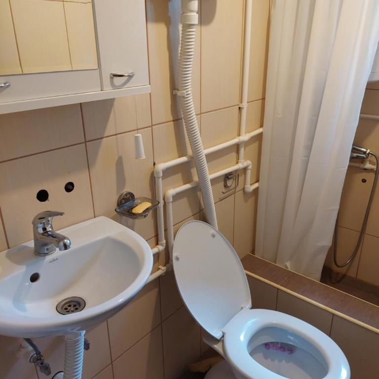 Nešić apartmani, Gornji Gajevi - One-Bedroom Apartment - 6