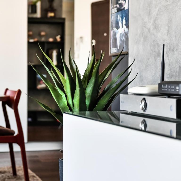 2 bedroom Penthouse in city center, free parking - Apartman sa 2 Spavaće Sobe - 10