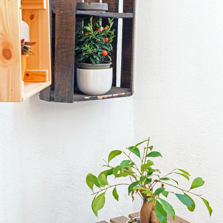 B&Bea sweet home Aurelia - Apartment mit 1 Schlafzimmer - 16