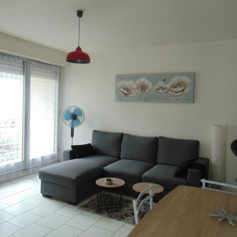 Artémis 17 - Appartement 1 Chambre - 3
