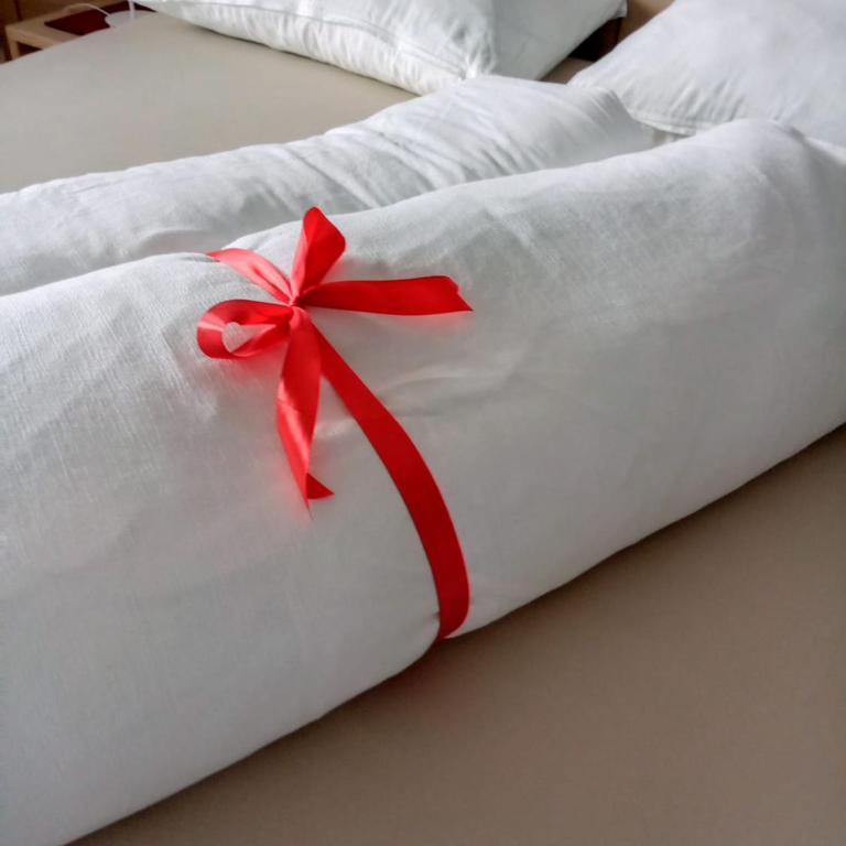Obergereuth Hof 2021 - Appartamento con 2 Camere da Letto - 25