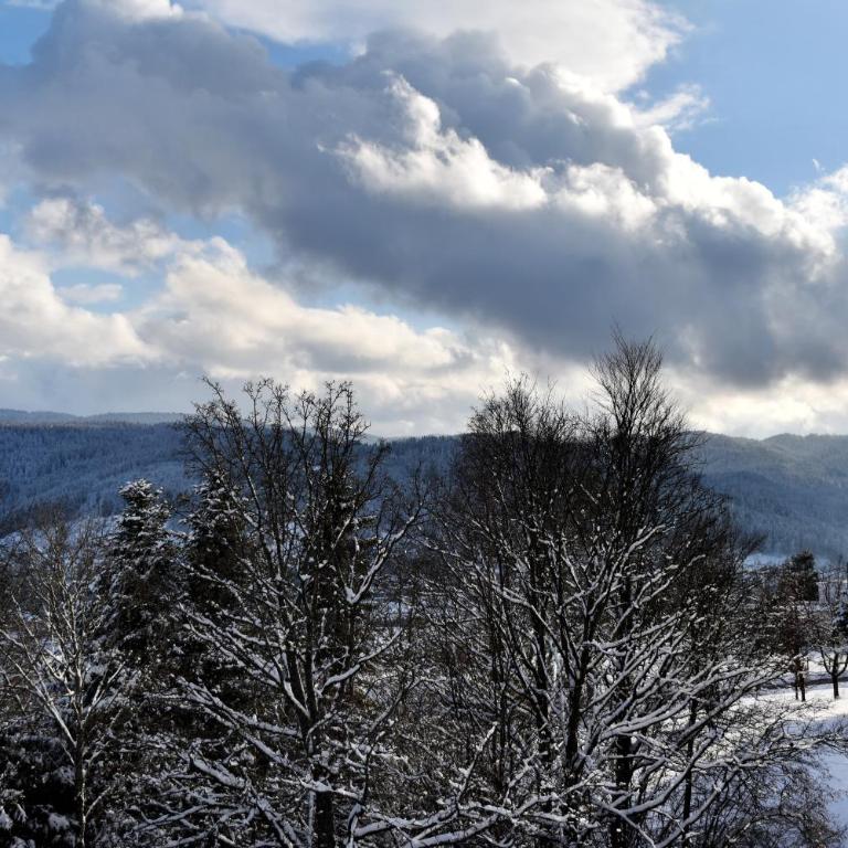 La Tanière : 4 personnes - Appartement avec Vue sur la Montagne - 20