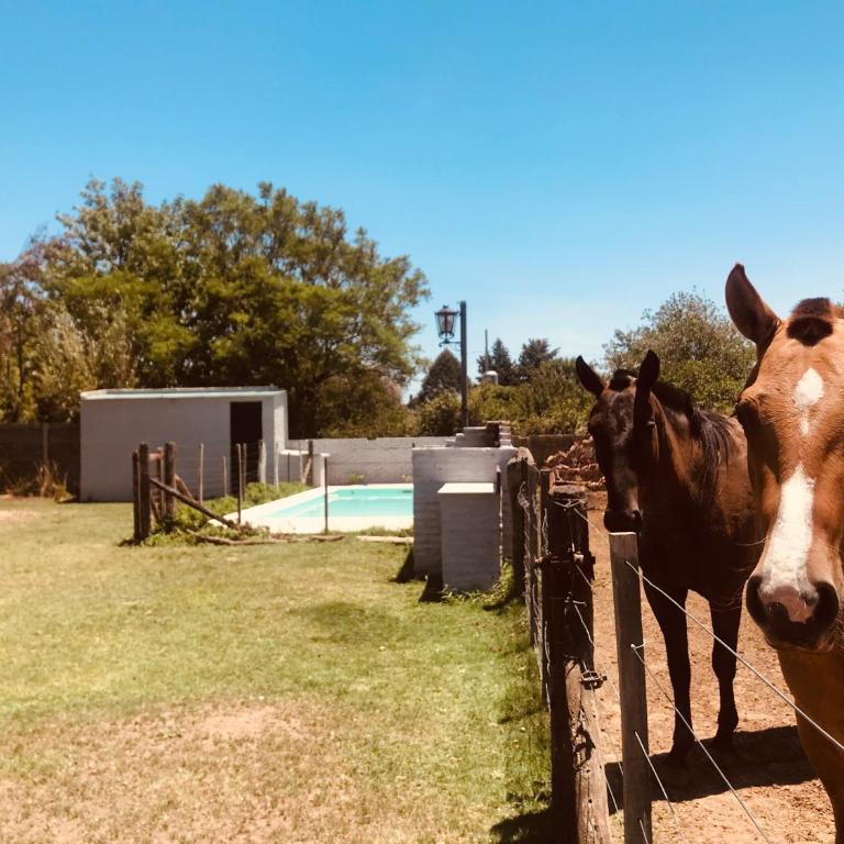 Casa rural familiar con pileta elrejunte - Casa de 3 dormitorios - 44