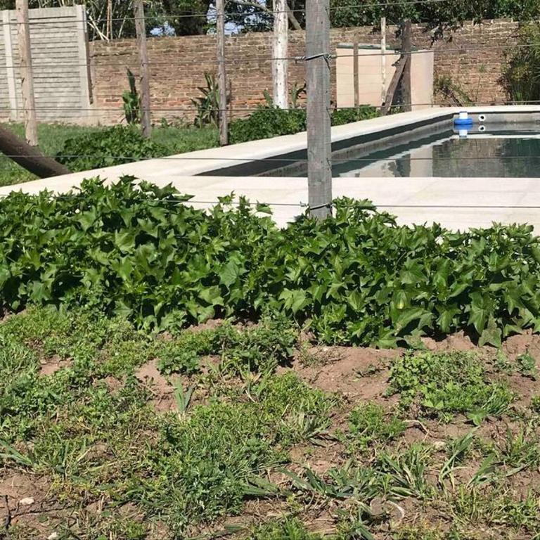 Casa rural familiar con pileta elrejunte - Casa de 3 dormitorios - 46