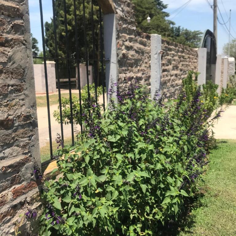 Casa rural familiar con pileta elrejunte - Casa de 3 dormitorios - 68