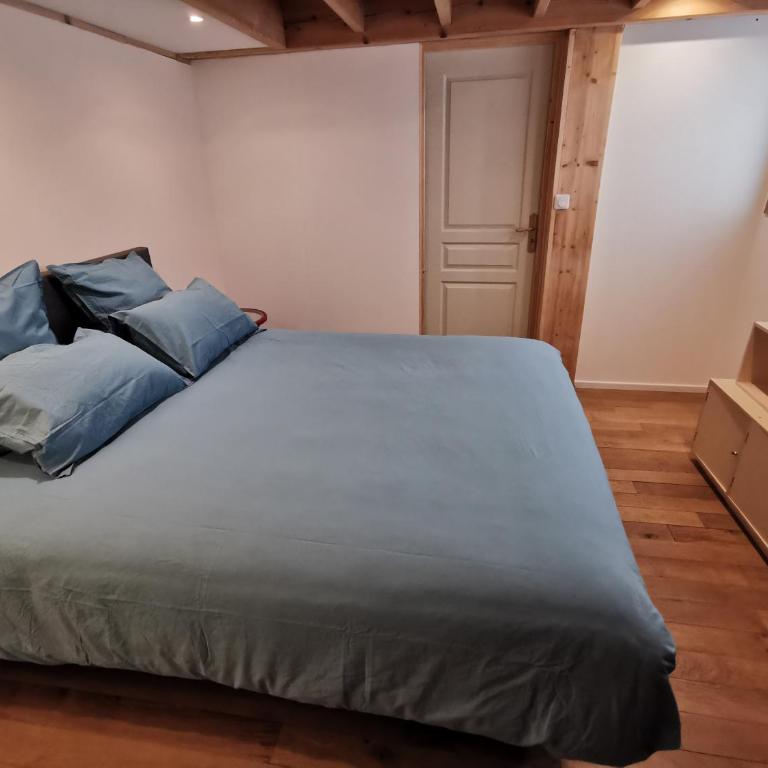 Ancien magasin type loft 145 m2 centre ville - Appartement - Rez-de-Chaussée - 12