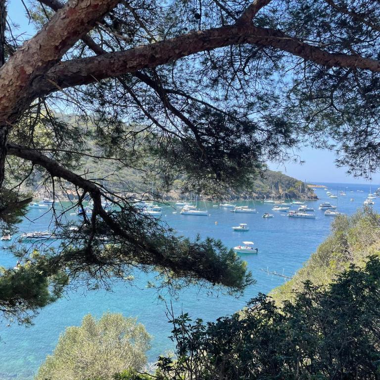 Belle villa provençale avec piscine privée - Villa avec Piscine Privée - 25