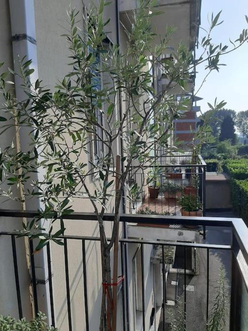 MìCè ottima soluzione per il centro e la Svizzera - Appartement Standard 2 Chambres - 16