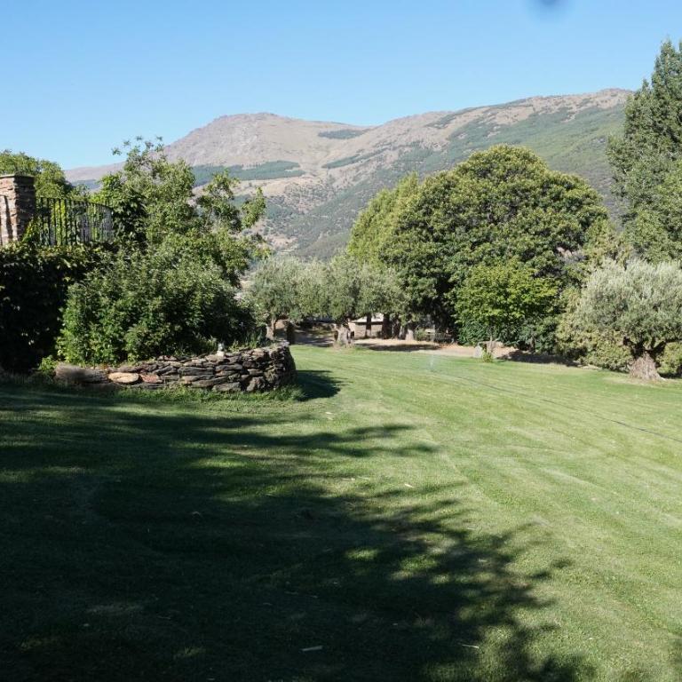 Cortijos Rey Fini - Three-Bedroom House - 21