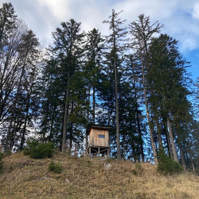 Chalet Wildalpen (in Ruhelage & mit Wellness) - Chalet mit 2 Schlafzimmern - 60