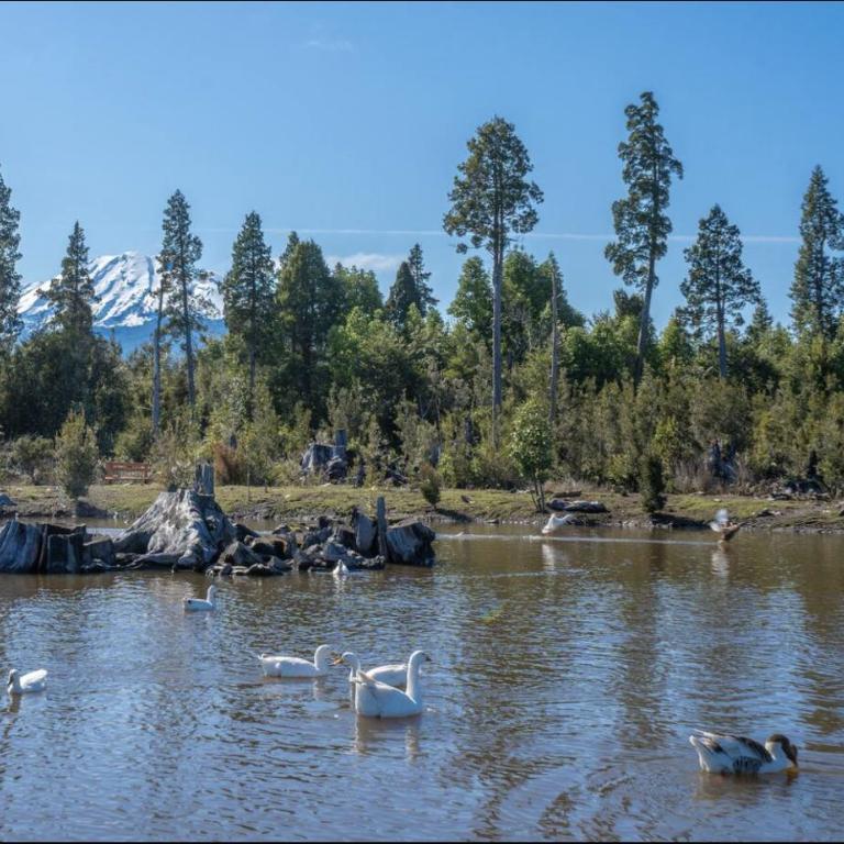 Quillaype - Casa de 3 dormitorios - 40