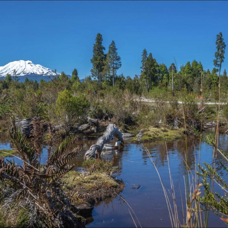 Quillaype - Casa de 3 dormitorios - 41
