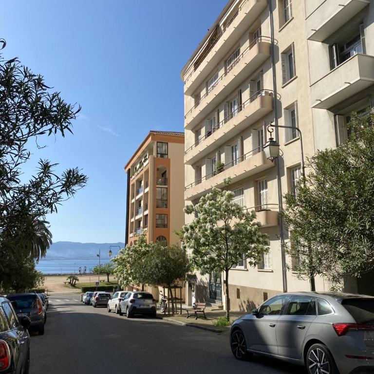 Studio neuf et lumineux - Ajaccio centre - Place Miot/Albert 1er - Appartement 1 Chambre - 11